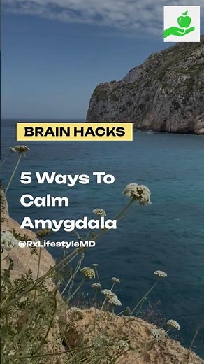 5 Evidence-Based Ways to Calm Your Amygdala & Reduce Anxiety