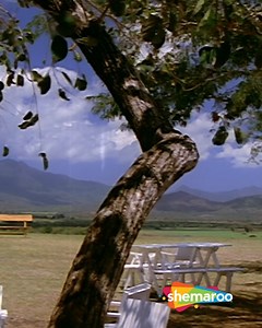 4.2M views · 10K reactions | Shayad Meri Shaadi Ka Khayal Dil Mein Aaya Hai Rajesh Khanna, Tina Munim ka kamaal.. Shaadi ke dinon mein sabka favorite song.. #souten #evergreensongs #retrosongs #bollywoodclassic #goldeneramusic #sadabaharsongs #filmigaane | Filmi Gaane | Facebook