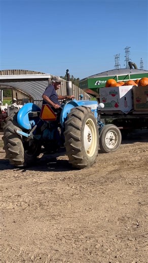 Costantino Farm 48420 Cherry Hill Rd. Canton, MI Open daily 9-7 🌽🍅🌶️🥒🍆🥬🥦🧅🍠🫑🌺🌻🌸 | Costantino Farm