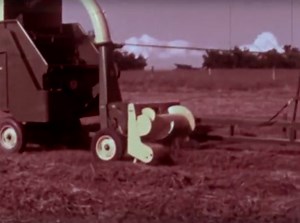 Video: The Original 1967 John Deere 34 Forage Harvester