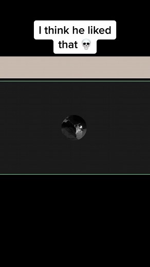 Crazy Discord Calls That Will Make You Laugh Out Loud