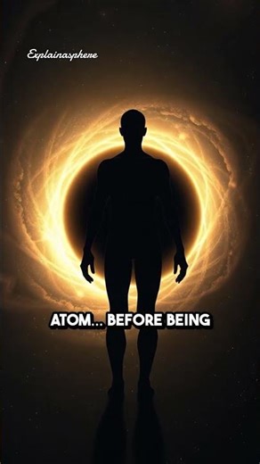 The Truth About Spaghettification in Black Holes