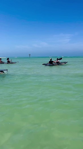 ANOTHER Shell Key dolphin encounter this week! 🙌🐬🐬 | Get Up And Go Kayaking