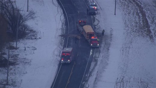 Pickup truck driver killed after hitting school bus head-on in Ozaukee County