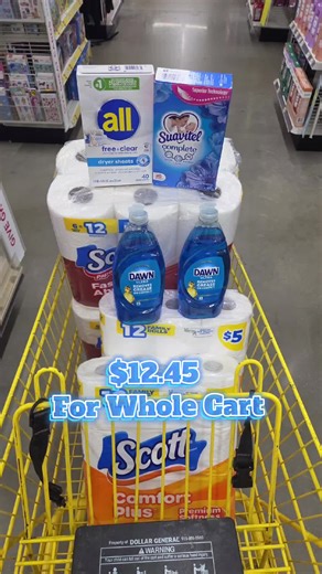 Dollar General Paper Product Deal: Save Big!
