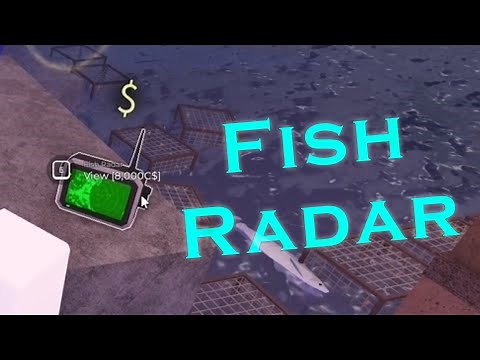 All You Need To Know About Fish Radars // FISCH Roblox