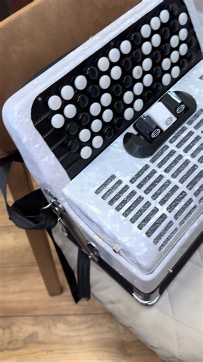 #рекомендации #рек #ремонтбаяна #аккордеон