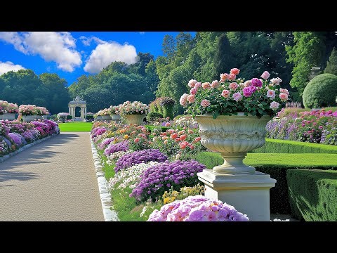 Walking Through Flower Fences🌸Relaxing Garden Walk to Soothe Your Soul | Genius Backyard Garden Idea