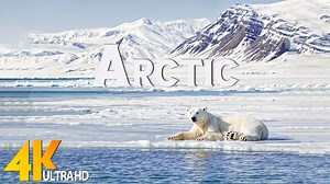 北极 4K 精彩航拍-平静的钢琴音乐-神奇的大自然