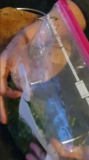 TIP TO FREEZE CORIANDER FOR A MONTH #foodtips#viral#