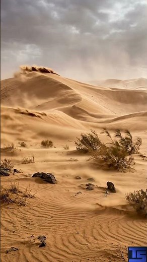 Relax Instantly With This Desert Windy Scene Ambience #Desert #wind #relax