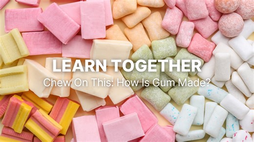 Learn Together Chew On This How Is Gum Made