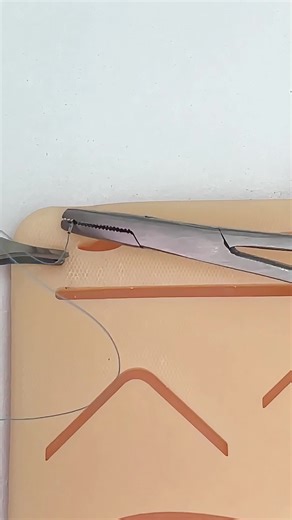 Perfecting Sutures: A Med Student's Practice Session