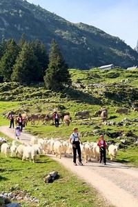 Na planincah sončece sije 🌞 | Alen Farkas