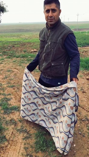 Foraging Mushrooms in a Rural Setting: A Step-by-Step Guide