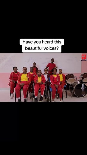 King David School Learners Shine in Harmony