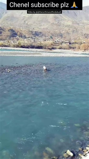 20K views · 209 reactions | #Gilgit #Baltistan #music #Gilgit Yarum garining gb music 1 | Gilgit Baltistan&Chatrali Song | Facebook