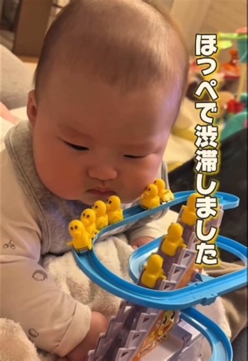 ほっぺたで渋滞を起こす赤ちゃん｜かわいいアヒルおもちゃ動画