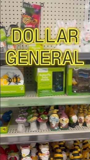 DOLLAR GENERAL SPRING FINDS