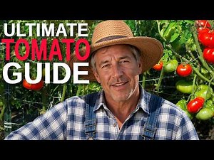 How to Grow Tomatoes From Seed and Get a Massive Harvest (Beginner Friendly)