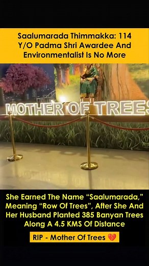 Mother of Trees, Saalumarada Thimmakka 💔🙏 | For a change