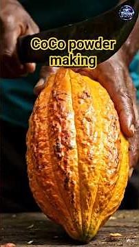 Cocoa Beans to Cocoa Powder 😲 | Chocolate Factory Process Part 1