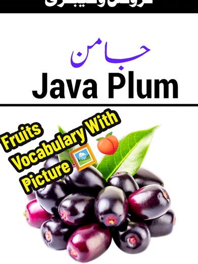 Fruits Vocabulary With Picture 🖼️ 🍑 #fruits #vocabulary #1millionaudition #fyp #spokenenglish