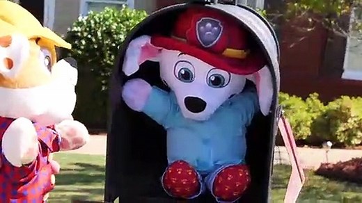 Paw Patrol Baby Pups Home Alone And Get A New House Learning Videos For Kids!