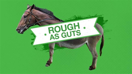 Roughie tips for Saturday's racing [Flemington, Randwick]