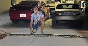 12-foot Burmese python spotted in Charlotte County neighborhood