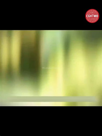 Đao Ca Tập 4: Khám Phá Thế Giới Cá Chép