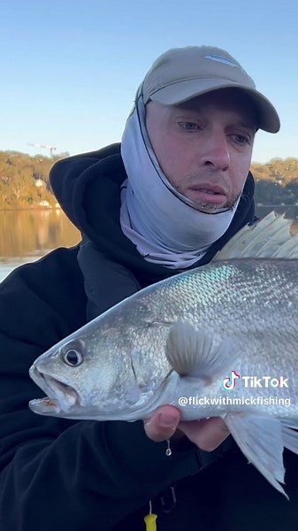 Mulloway on lure! #fyp #fishing #flickwithmick #lure #jewfish #mulloway