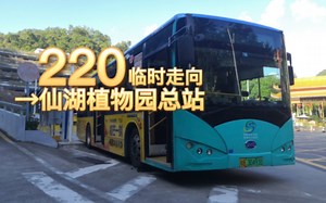 【解锁快车新体验】深圳公交220疫情防控期间临时走向→仙湖植物园总站全程前方展望