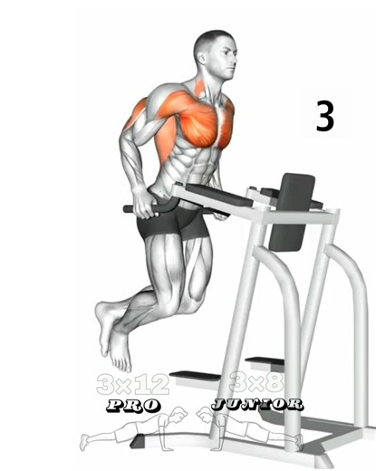 21K views · 469 reactions | Full-Body Home Workout Get a full-body workout that you can do at home with no gym required! This workout is perfect for beginners and experienced lifters alike. #fullbodyworkout #homeworkout #fitness #workout | Fit-workout body | Facebook