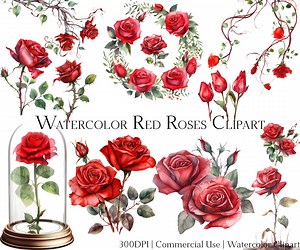 Buy Watercolor Red Roses Clipart Set: 24 PNG   PDF Files (commercial Use) Online in India - Etsy