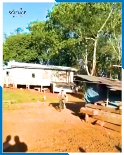 50K views · 370 reactions | Short but hilarious moments guaranteed to crack you up. | Science | Facebook