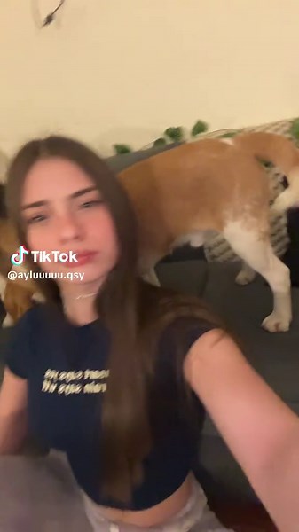 beagles JSJSJSJ#xybca #beagle #paratiiiiiiiiiiiiiiiiiiiiiiiiiiiiiii #fpy @TikTok