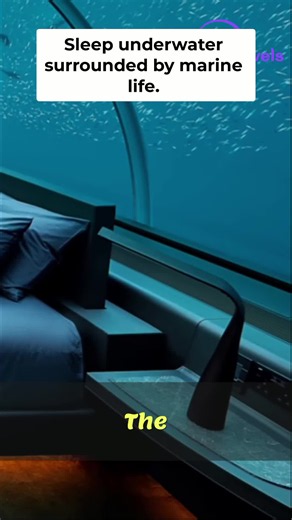 Sleep underwater in the Maldives! 🐠 The Muraka Residence offers a master bedroom nearly 5 meters below sea level, surrounded by marine life. Luxury redefined. #LuxuryTravel #Maldives #UniqueStays #UnderwaterRoom #TravelGoals