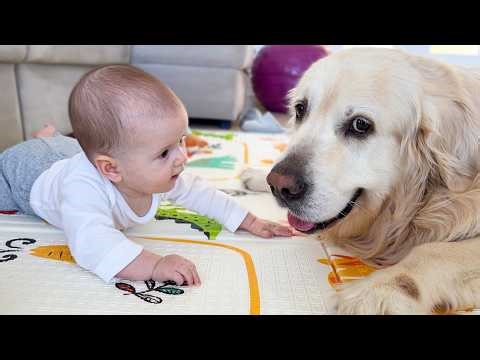 This Baby Just Found Her Best Friend