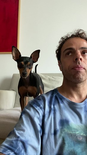 Jajajajja #viral #dog #fyp #despecha #parati #funnydog