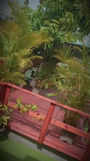 ✨ Semaine Orientale chez Urban Shaman Un voyage sensoriel entre traditions orientales et douceur tropicale 🌙 Cornes de gazelle sans gluten Baklawa maison Basboussa coco-maïs Malhabia à la fleur d’oranger #Allégé en sucre et sans Gluten 📍 Saint-Paul – case créole à gauche de l’église 🕒 Ouvert de 13h00 à 17h00 📩 Réservation en message privé conseillée Cette semaine seulement. Quantités limitées. #UrbanShaman #SaintPaul974 #IleDeLaReunion #ReunionIsland #SalonDeThe974 #SansGluten974 #DouceurOri