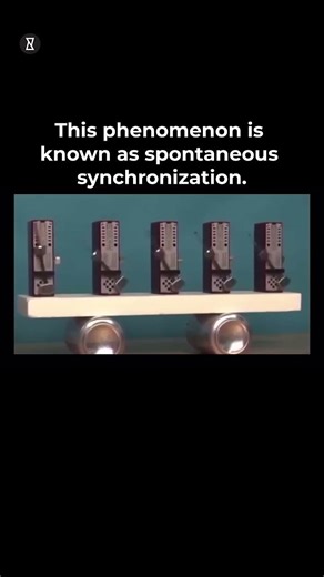 The Mind-Blowing Science of Spontaneous Synchronization! #science #trendingshorts #experiment