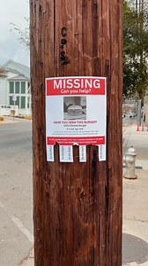 16K views · 336 reactions | The Chili Cheese Burger is BACK!  Get to your nearest Whataburger today to pick one up! | Whataburger | Facebook