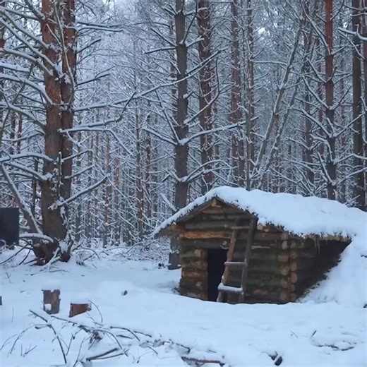 49K views · 1.2K reactions | Winter sleepover in my log cabin with a dog | Geo Stone Декоративен камен | Facebook