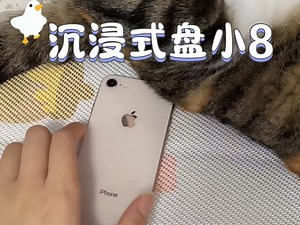 2025年苹果8使用指南