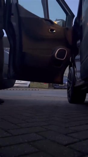 #dogwalk #countrylife #cockapoo #walk #chilling