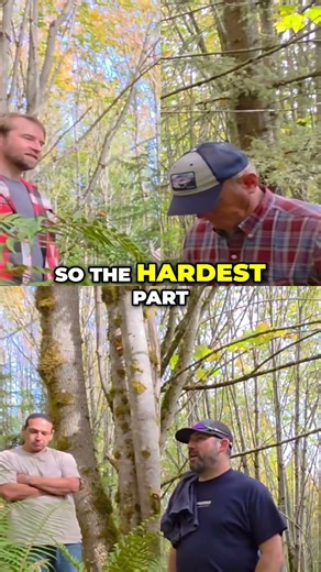 Maple Syrup Secrets Bleach vs Hydrogen Peroxide for Purity!