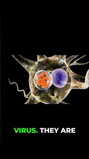 Early Rabies Diagnosis: The Negri Body Mystery