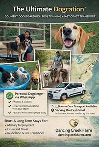 The Ultimate Dogcation™ Over 300 five-star reviews since 2005 This isn’t traditional dog boarding. At Dancing Creek Farm, dogs enjoy a non-traditional country retreat with climate-controlled private cabins, each with their own fenced yard — no concrete runs, no cages, kennel-free. Set on 30 peaceful acres, every stay is designed around comfort, enrichment, and emotional well-being. Our services include: • Country dog boarding • Professional dog training • East Coast door-to-door transport • Pers