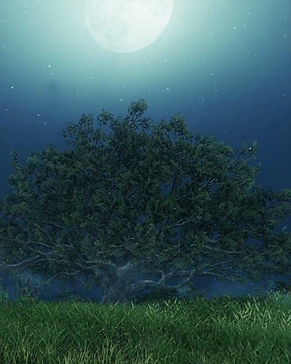 tree at night in the fields #newworldaeternum #gaming
